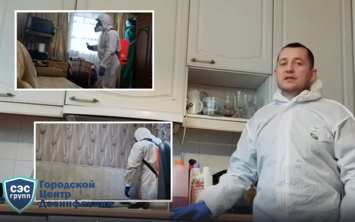 Уничтожение клопов